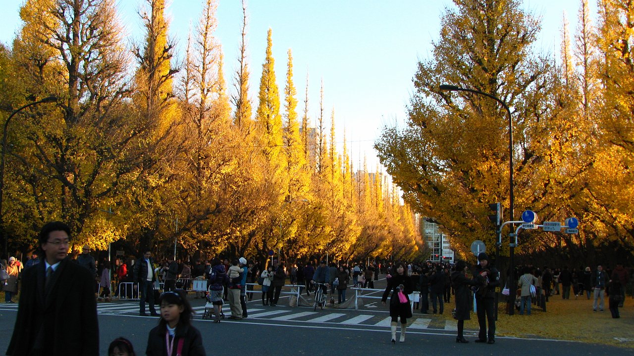 welcome autumn in japan.JPG